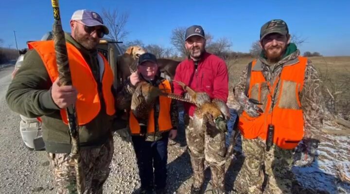 hunters pheasant hunting holding pheasants